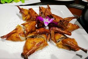 乳鴿產(chǎn)品