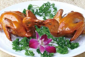 2019年養(yǎng)殖鴿子有銷路嗎,？