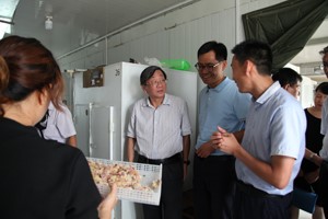 河南省科協(xié)副主席房衛(wèi)平蒞臨河南天成鴿業(yè)考察調(diào)研。