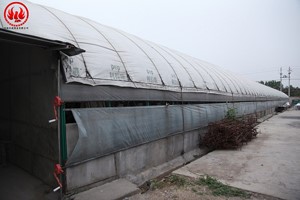 養(yǎng)鴿廠要怎樣設(shè)計(jì)規(guī)劃,？