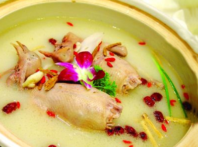 養(yǎng)鴿子能致富嗎？