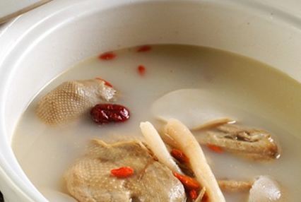 肉鴿養(yǎng)殖是不是特種養(yǎng)殖？
