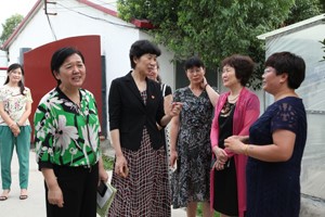 河南省婦聯(lián)副主席崔愛蘭蒞臨河南天成鴿業(yè)開展調(diào)研工作