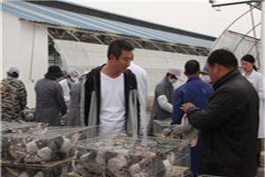 http://www.qingcheshulu.cn/kehujianzheng/2020/1030/1582.html