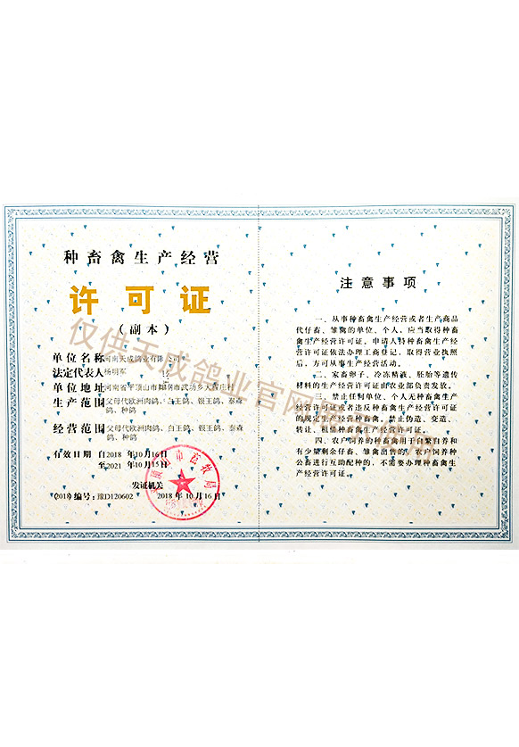 河南天成鴿業(yè)種畜禽生產(chǎn)經(jīng)營(yíng)許可證