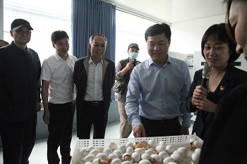 中國退役軍人就業(yè)創(chuàng)業(yè)服務促進會理事長王義蒞臨天成鴿業(yè)科技產業(yè)園參觀調研