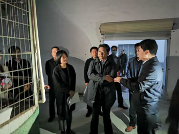郭局長一行實地參觀鴿子養(yǎng)殖情況