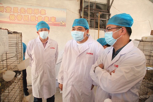 國家畜禽遺傳資源普查專家卜柱一行蒞臨天成鴿業(yè)調(diào)研